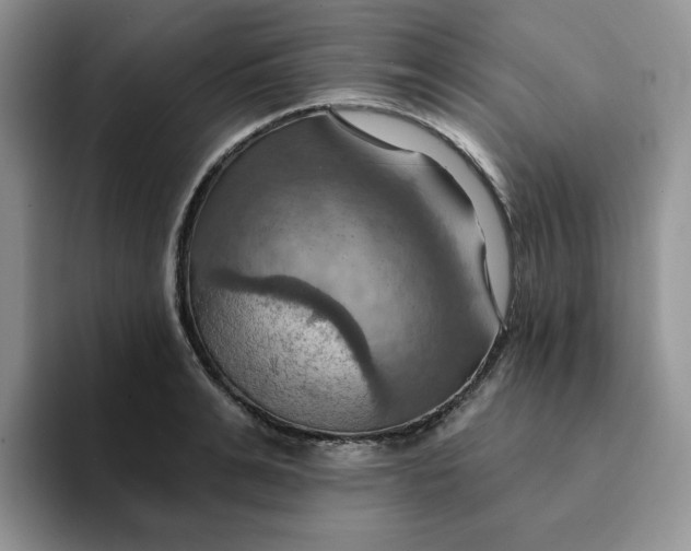 X0000093220991200710171356