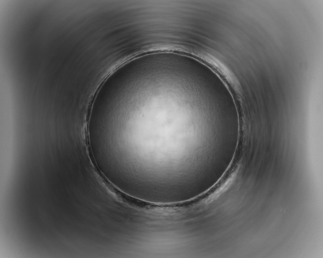 X0000093220993200710171356