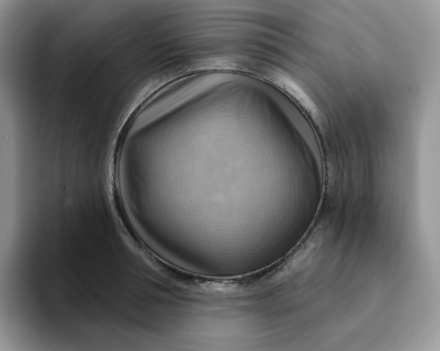 X0000093220994200710171356