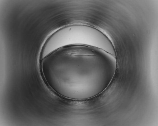 X0000093220995200710171356