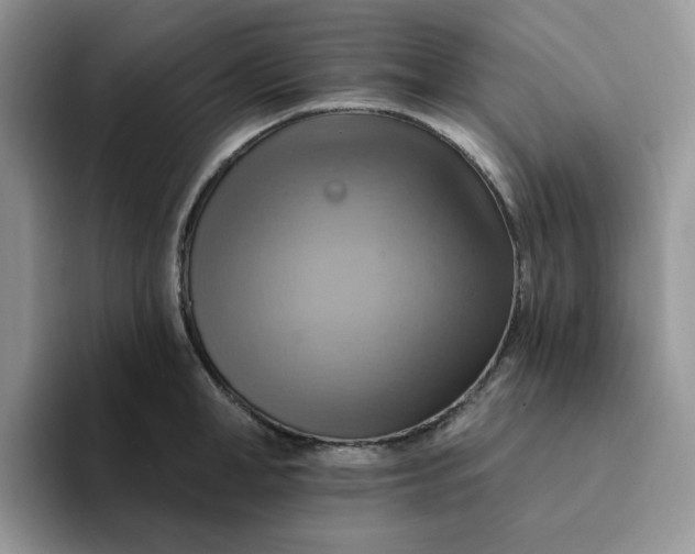 X0000093220998200710171356