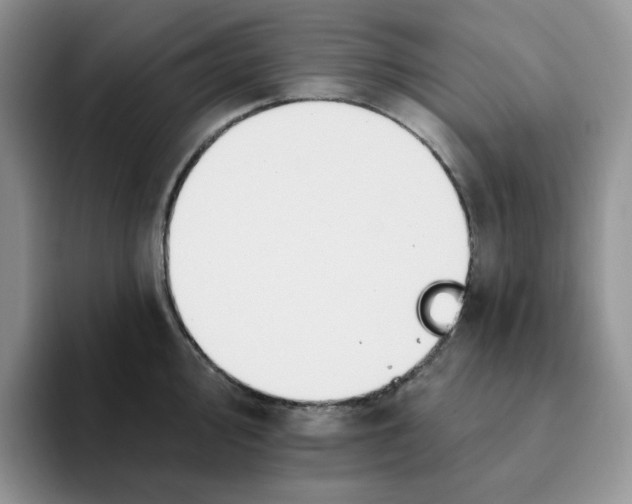 X0000093221000200710171356