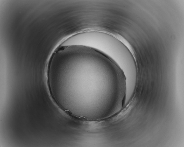 X0000093221005200710171356