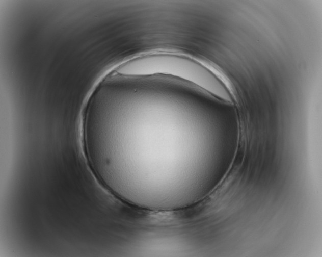 X0000093221006200710171356