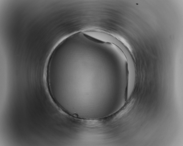 X0000093221007200710171356