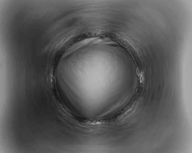 X0000093221011200710171355