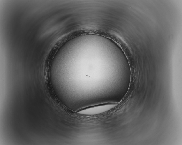 X0000093221016200710171355