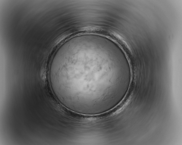 X0000093221017200710171355