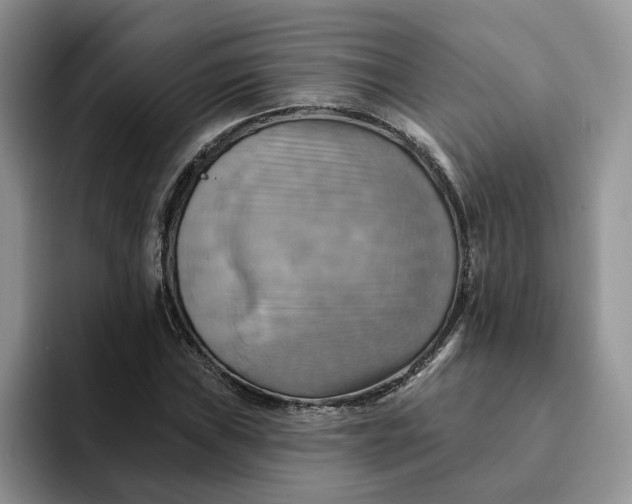 X0000093221019200710171355