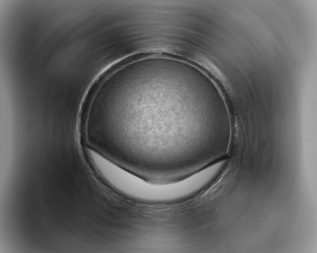 X0000093221020200710171355