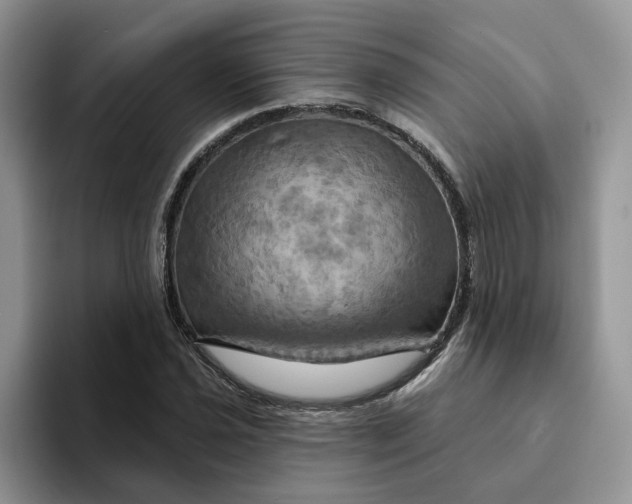 X0000093221021200710171355