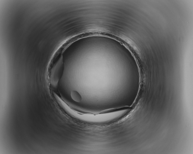 X0000093221022200710171355