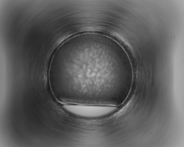 X0000093221025200710171355