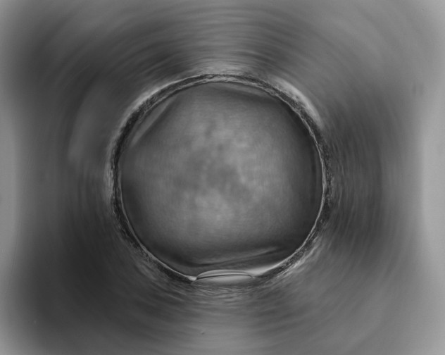 X0000093221027200710171355