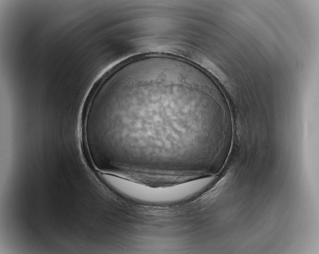 X0000093221028200710171355