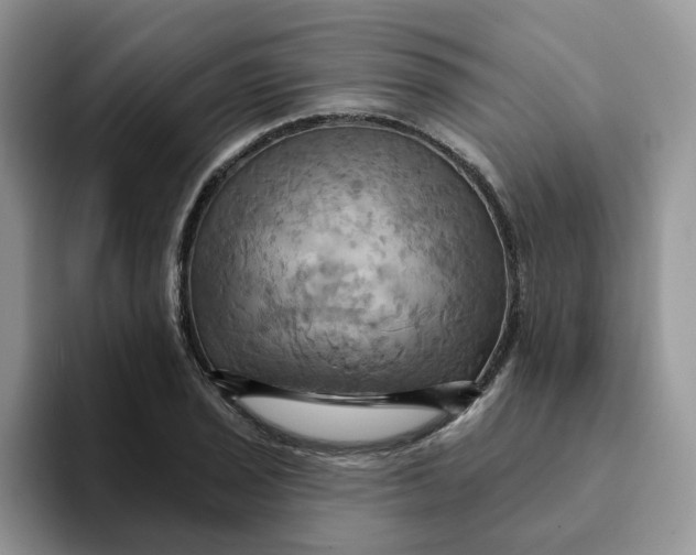 X0000093221029200710171355