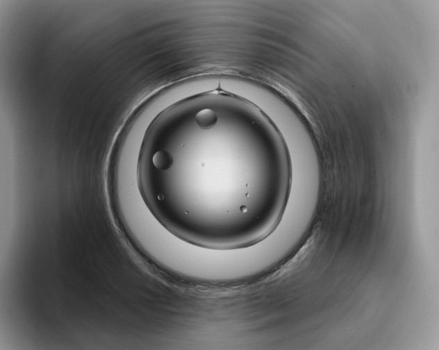 X0000093221034200710171356