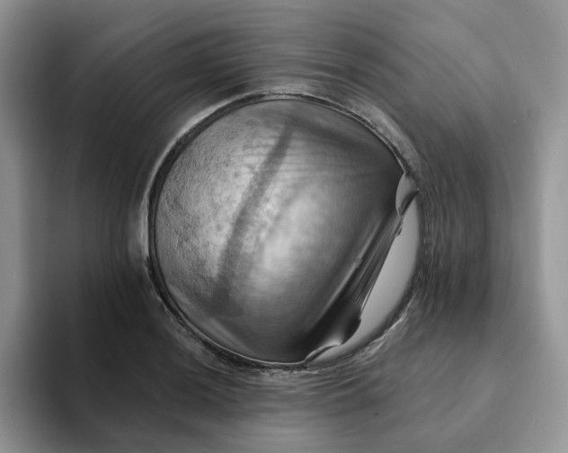 X0000093221036200710171356