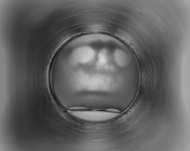 X0000093221039200710171356