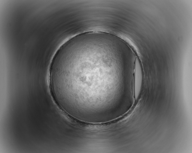 X0000093221040200710171356