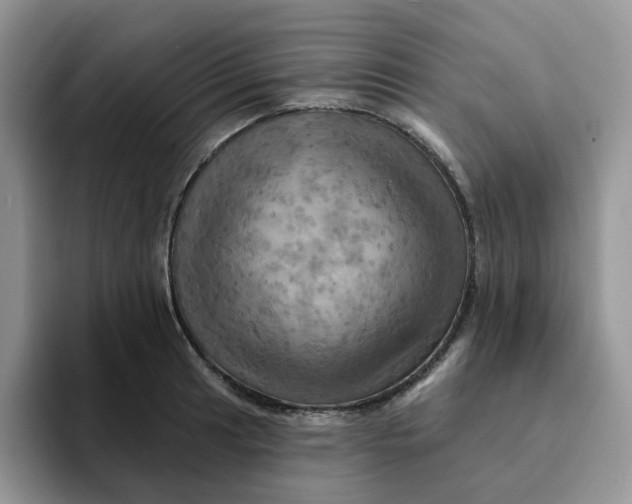 X0000093221041200710171356