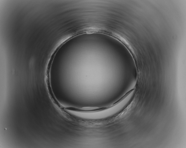 X0000093221042200710171356