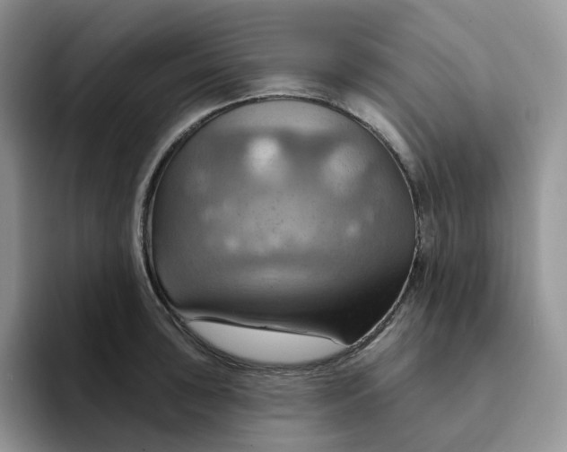 X0000093221043200710171356