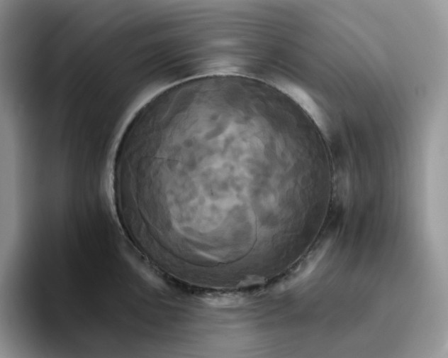 X0000093221051200710171356