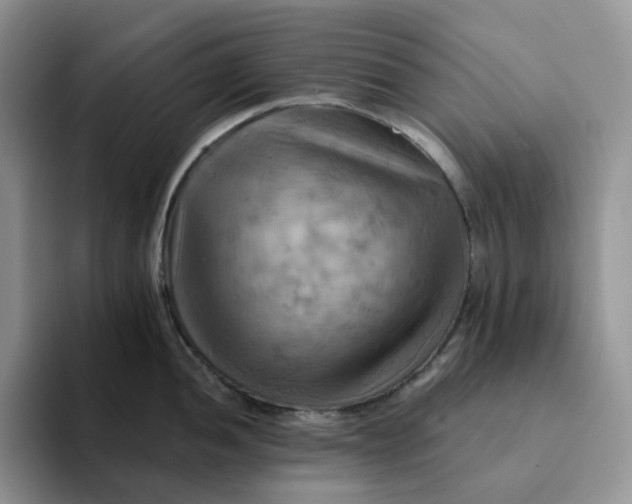 X0000093221052200710171356