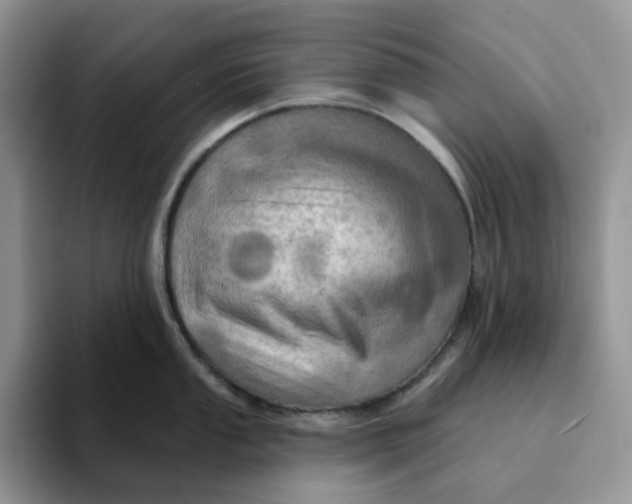 X0000093221053200710171356