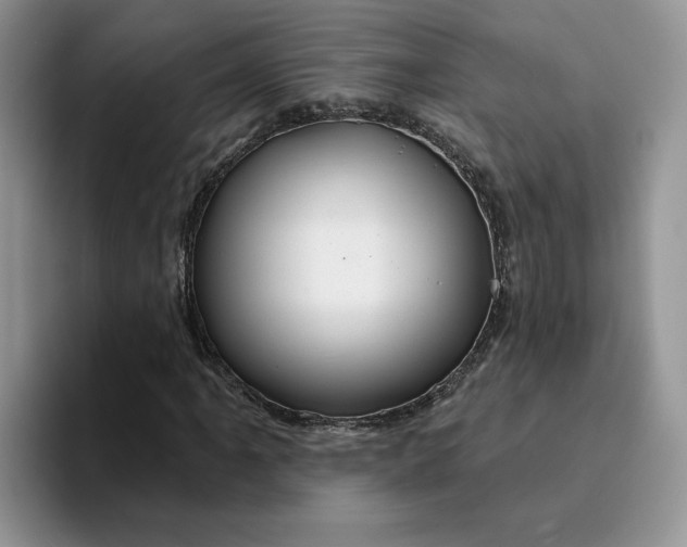 X0000093221061200710171355