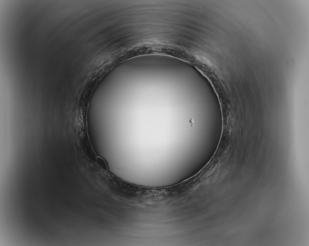 X0000093221062200710171355