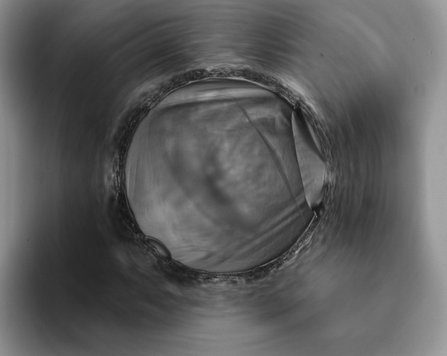 X0000093221063200710171355