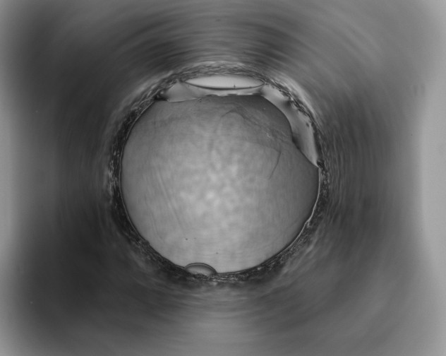 X0000093221064200710171355