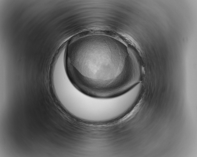 X0000093221065200710171355