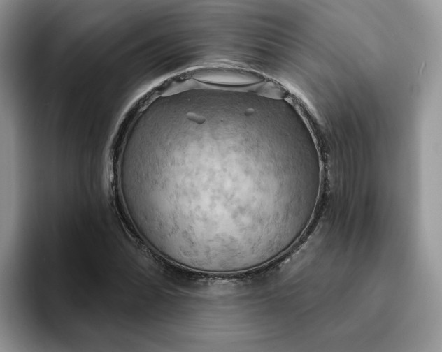 X0000093221070200710171355