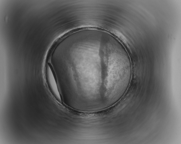 X0000093221072200710171355