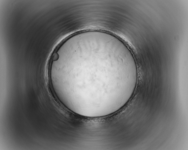 X0000093221078200710171355