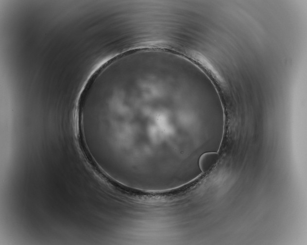 X0000093221079200710171355