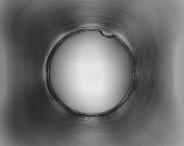 X0000093221082200710171355