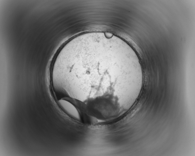 X0000093221083200710171355