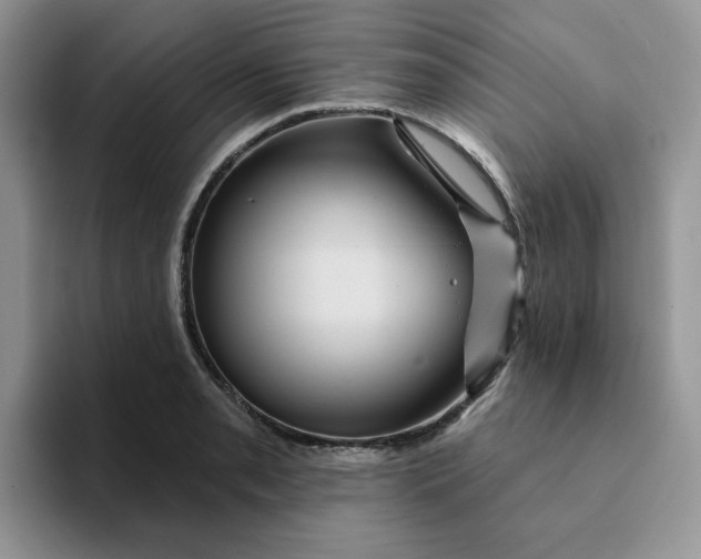 X0000093221085200710171355