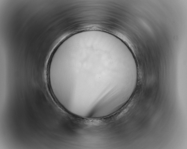 X0000093221090200710171355