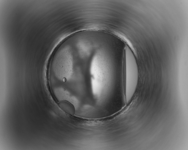 X0000093221091200710171355