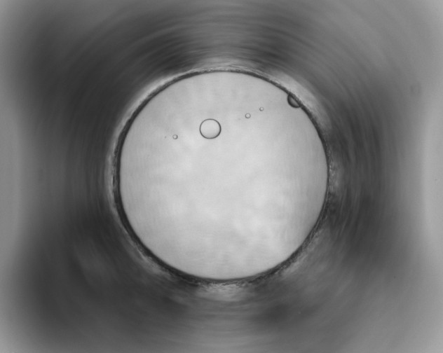 X0000093221094200710171355