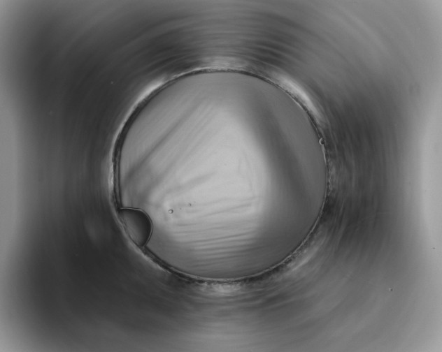 X0000093221095200710171355