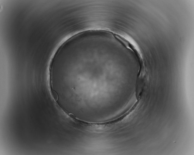 X0000093221096200710171355