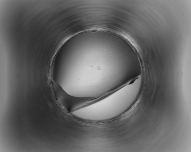 X0000093221097200710171355