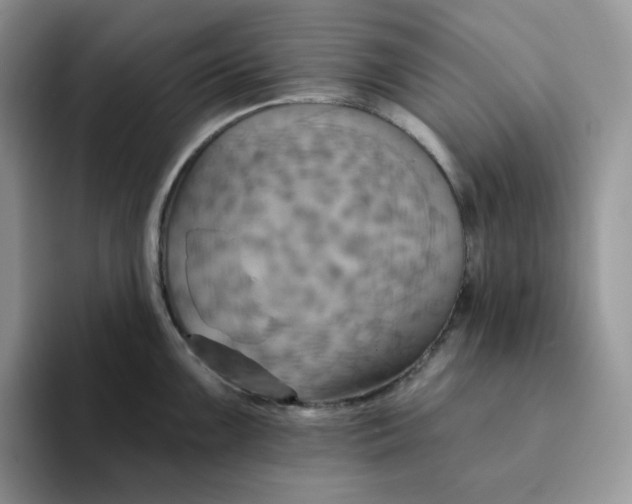 X0000093221099200710171355