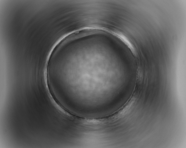 X0000093221100200710171355